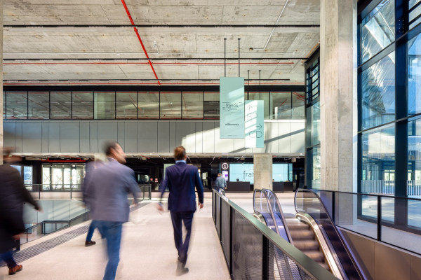 Aktuelle Impressionen von FRANCIS