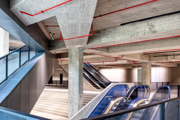 Aktuelle Impressionen von FRANCIS