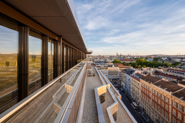 Aktuelle Impressionen von FRANCIS